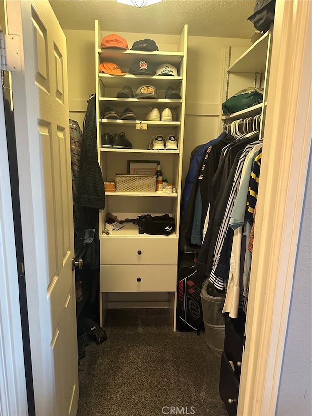 34300 Lantern Bay Dr Unit 41, Dana Point, CA 92629 - spacious closet with carpet flooring