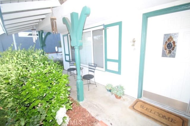 19555 Chadway St, Canyon Country, CA 91351 - view of property entrance