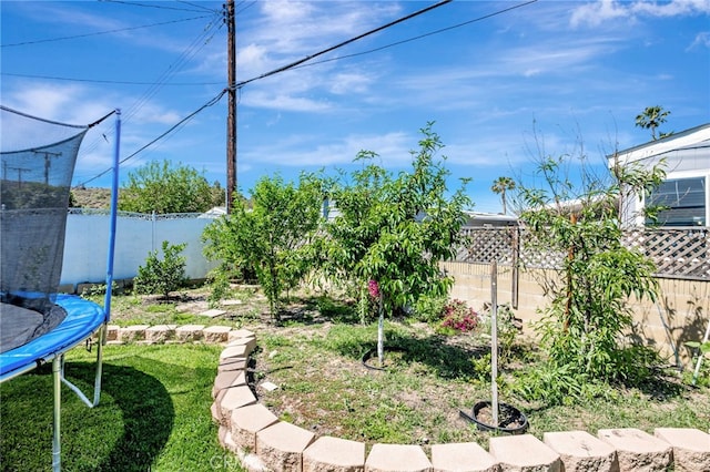 27049 Langside Ave, Canyon Country, CA 91351 - view of yard with a trampoline