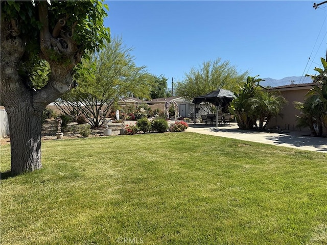 34662 Turner Ln, Yucaipa, CA 92399 - view of green lawn featuring a patio