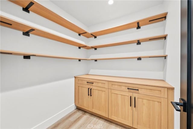 7307 Forbes Ave, Lake Balboa, CA 91406 - walk in closet featuring light wood-style flooring