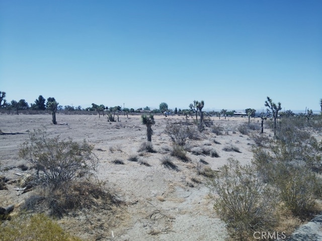 0 Pionero Rd, Pinon Hills, CA 92372 - photo 3