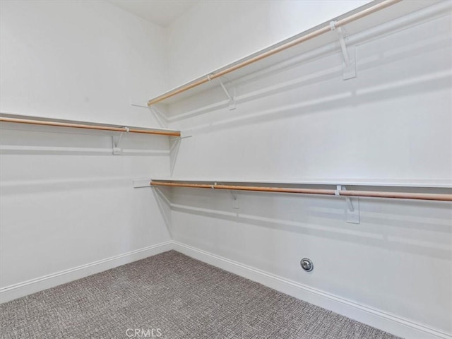 920 Trail View Pl, Nipomo, CA 93444 - walk in closet with carpet flooring