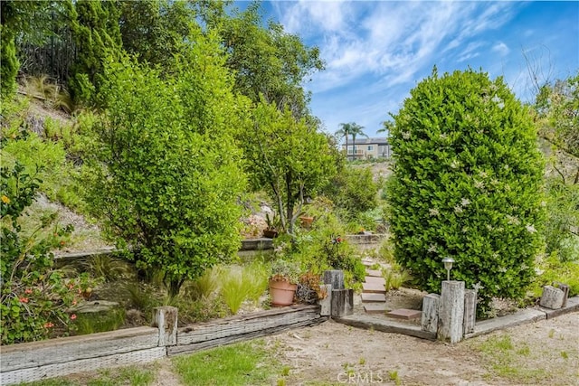 19628 Pine Valley Ave, Porter Ranch, CA 91326 - view of yard