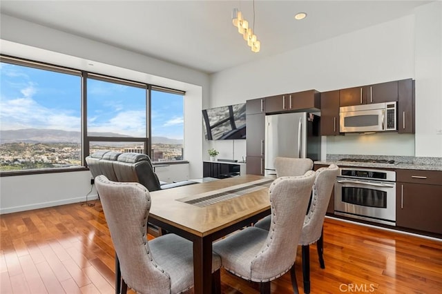 1100 Wilshire Blvd Unit 3005, Los Angeles, CA 90017 - dining room featuring light wood-style floors, a mountain view, and baseboards
