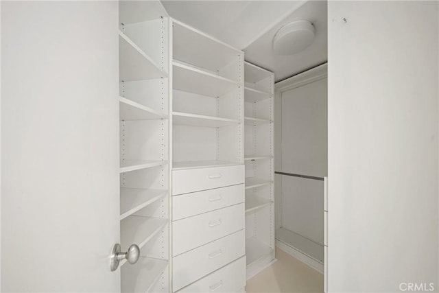 9314 Stevens Way, West Hills, CA 91304 - view of spacious closet