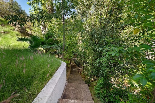 9314 Stevens Way, West Hills, CA 91304 - view of yard