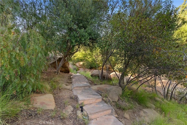 9314 Stevens Way, West Hills, CA 91304 - view of yard