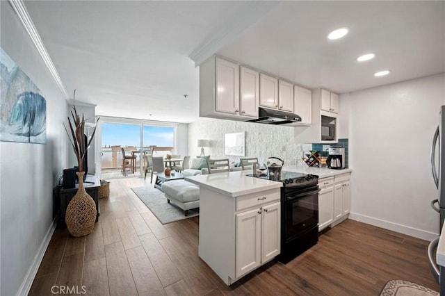615 Esplanade Unit 509, Redondo Beach, CA 90277 - kitchen with black electric range oven, under cabinet range hood, light countertops, baseboards, and crown molding