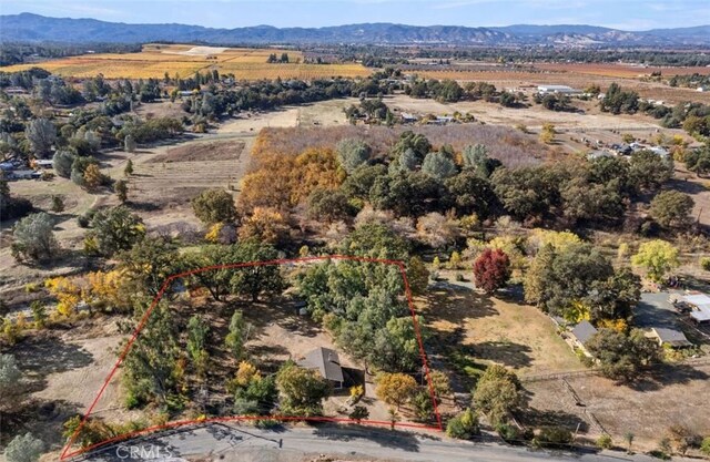 6741 Live Oak Dr, Kelseyville, CA 95451 - photo 45