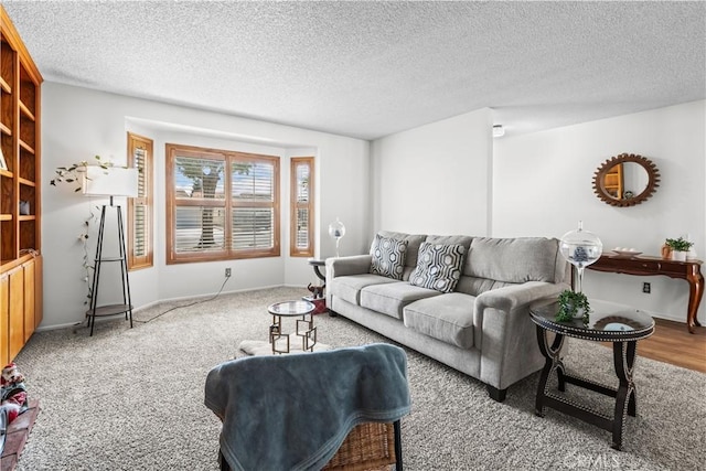 2210 El Rancho Cir, Hemet, CA 92545 - living area featuring a textured ceiling, carpet flooring, and baseboards