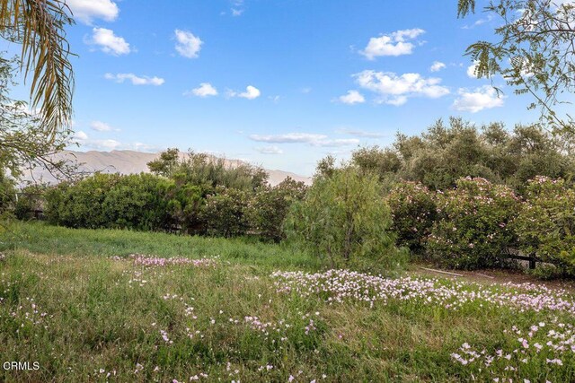 12986 Macdonald Dr, Ojai, CA 93023 - view of yard with a mountain view