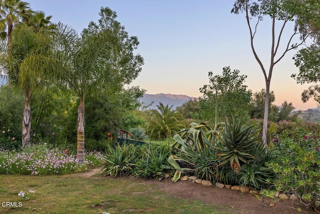 12986 Macdonald Dr, Ojai, CA 93023 - view of yard featuring a mountain view