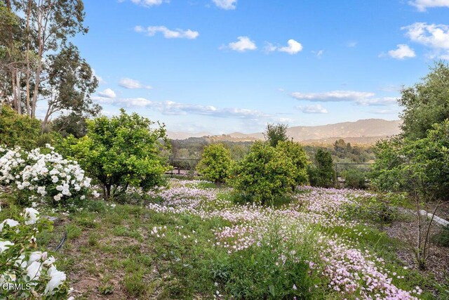 12986 Macdonald Dr, Ojai, CA 93023 - view of mountain backdrop