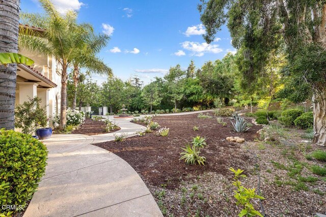 12986 Macdonald Dr, Ojai, CA 93023 - view of yard