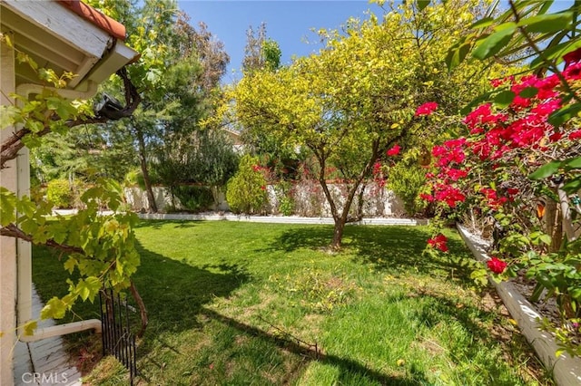 23838 Spring Branch Ct, Murrieta, CA 92562 - view of yard