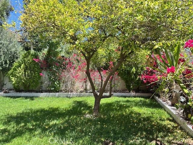 23838 Spring Branch Ct, Murrieta, CA 92562 - view of green lawn