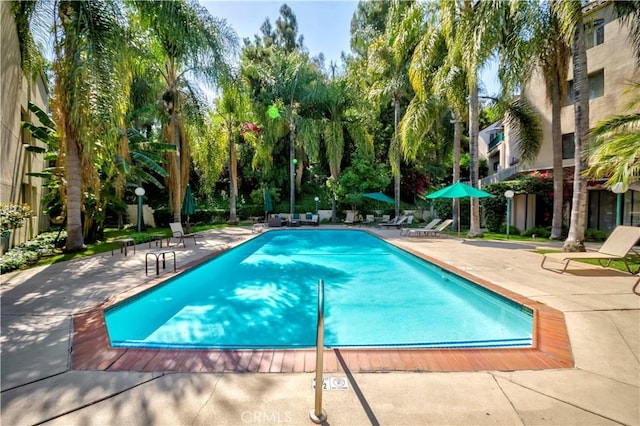 4200 Via Arbolada Unit 123, Los Angeles, CA 90042 - community pool featuring a patio area