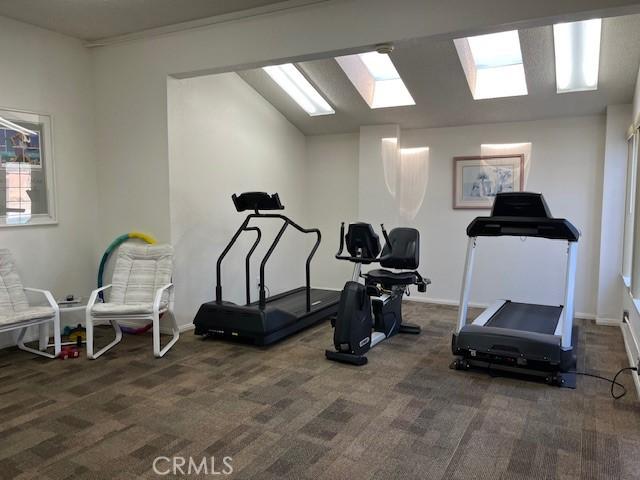 3060 Summer Set Cir, Banning, CA 92220 - exercise area featuring carpet floors, a skylight, and baseboards
