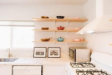 606608 Fairview Ave, Los Angeles, CA 90033 - kitchen view of range hood, white appliances, open shelves, a sink, and light countertops