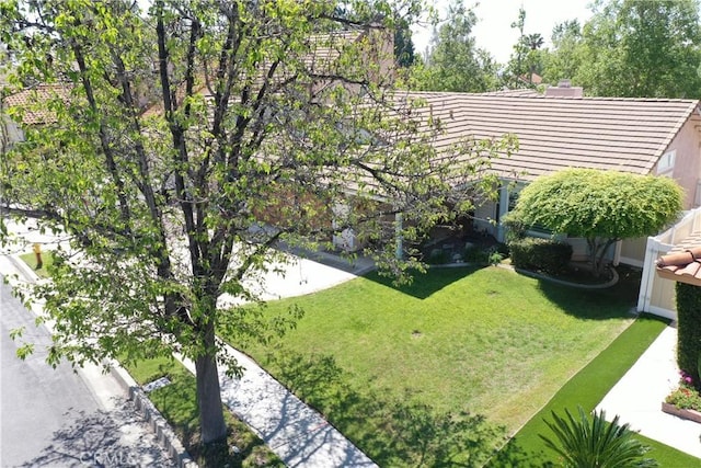 view of green lawn