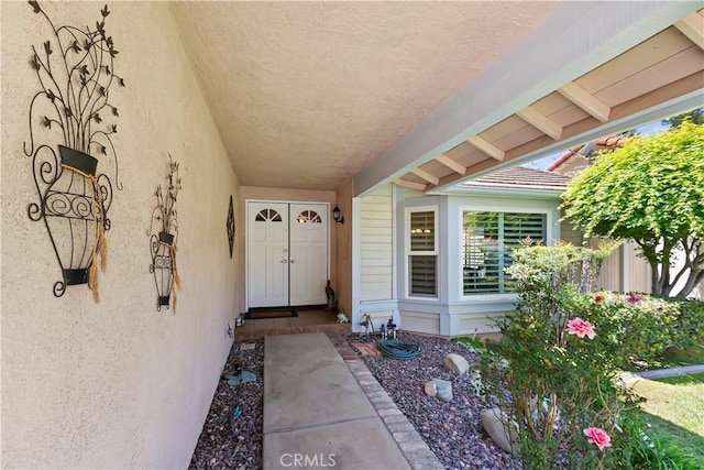doorway to property featuring stucco siding