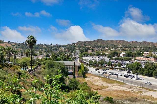 1158 Regal Canyon Dr, Walnut, CA 91789 - view of mountain background