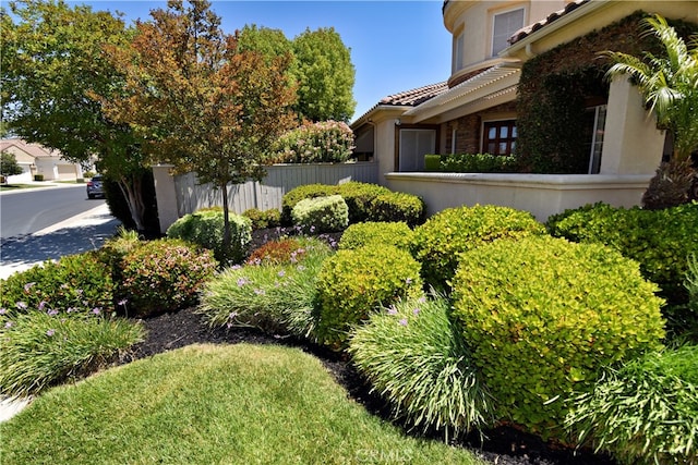 29424 Springside Dr, Menifee, CA 92584 - view of yard