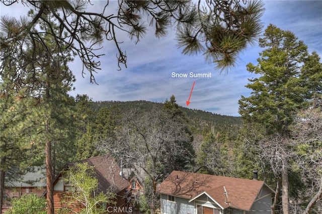 43214 Sunset Dr, Big Bear Lake, CA 92315 - view of mountain background featuring a forest