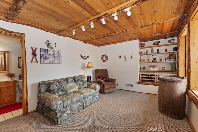 43214 Sunset Dr, Big Bear Lake, CA 92315 - carpeted living area with track lighting and wooden ceiling
