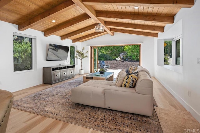 555 Amphitheatre Dr, Del Mar, CA 92014 - photo 34