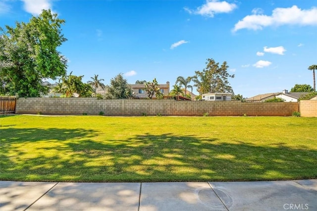 168 Radford Ct, Riverside, CA 92507 - view of yard