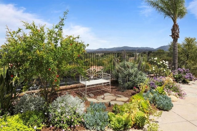 27086 Maple Tree Ct, Valencia, CA 91381 - view of yard featuring fence and a mountain view