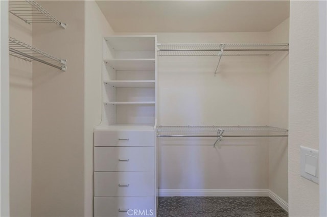 28220 Highridge Rd Unit 104, Rancho Palos Verdes, CA 90275 - view of spacious closet