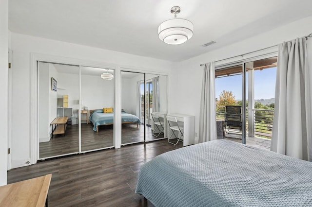3631 Alta Vista Dr, Fallbrook, CA 92028 - bedroom with multiple closets, multiple windows, and wood finished floors