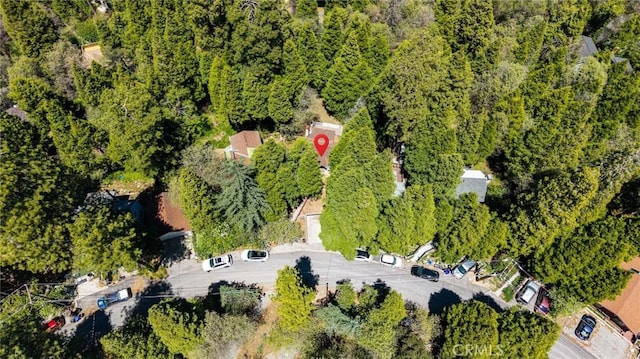 23120 Sycamore Ln, Crestline, CA 92325 - drone / aerial view