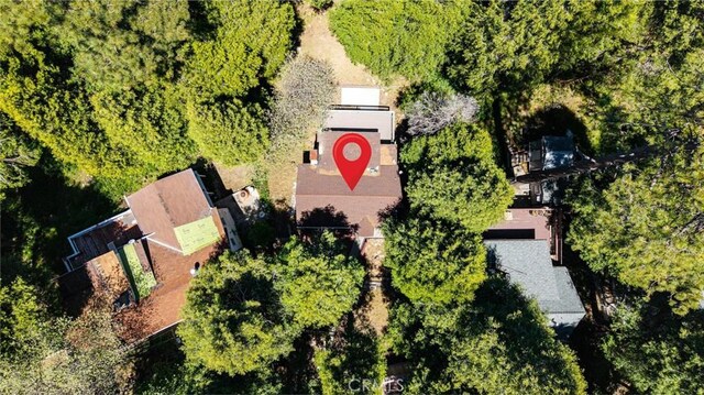23120 Sycamore Ln, Crestline, CA 92325 - bird's eye view