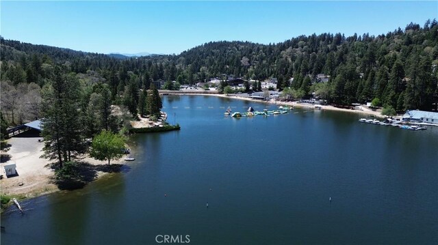 23120 Sycamore Ln, Crestline, CA 92325 - water view with a forest and mountains