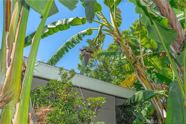 8922 Tracy Ave, Garden Grove, CA 92841 - exterior view