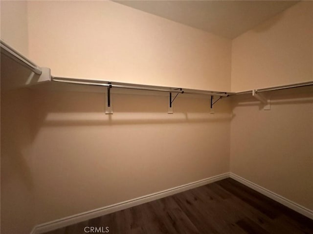 spacious closet with dark wood-type flooring