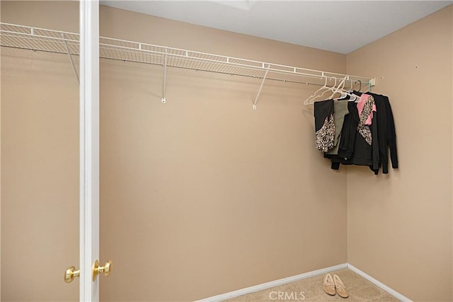 22 Amesbury Ct, Ladera Ranch, CA 92694 - spacious closet with carpet floors