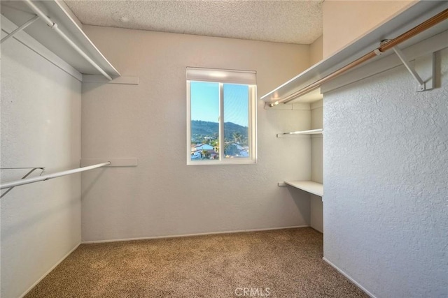 920 Lacebark St, San Marcos, CA 92069 - photo 25