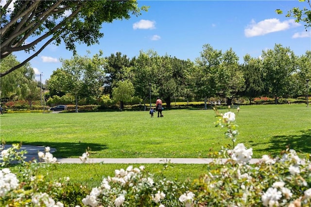 414 Silk Tree, Irvine, CA 92606 - surrounding community with a lawn and view of scattered trees