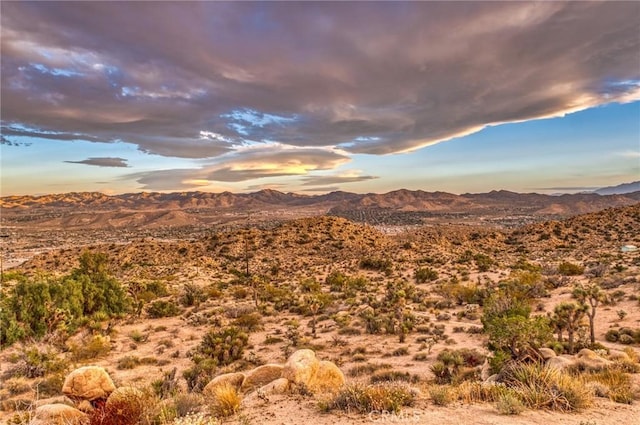 56714 Nelson Ave, Yucca Valley, CA 92284 - view of mountain backdrop with a desert landscape
