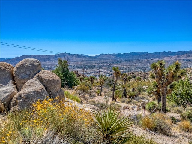 56714 Nelson Ave, Yucca Valley, CA 92284 - mountain view