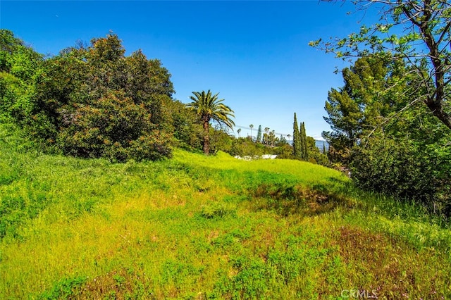4551 Lindley Ave, Tarzana, CA 91356