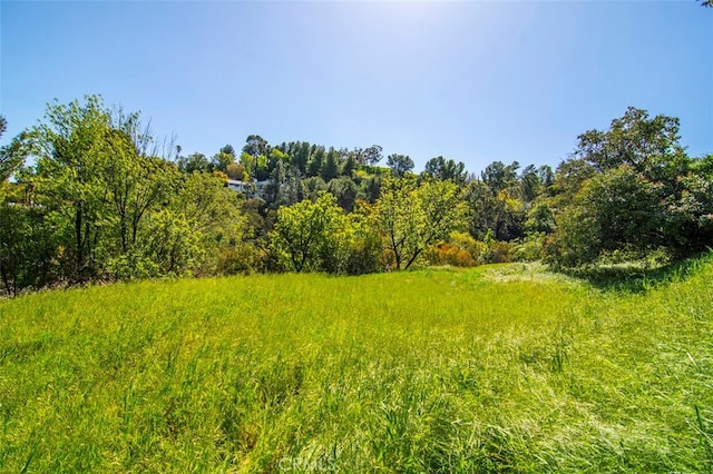 4551 Lindley Ave, Tarzana, CA 91356