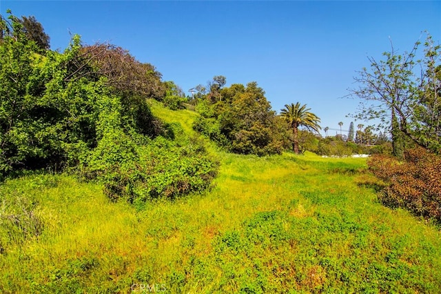 4551 Lindley Ave, Tarzana, CA 91356
