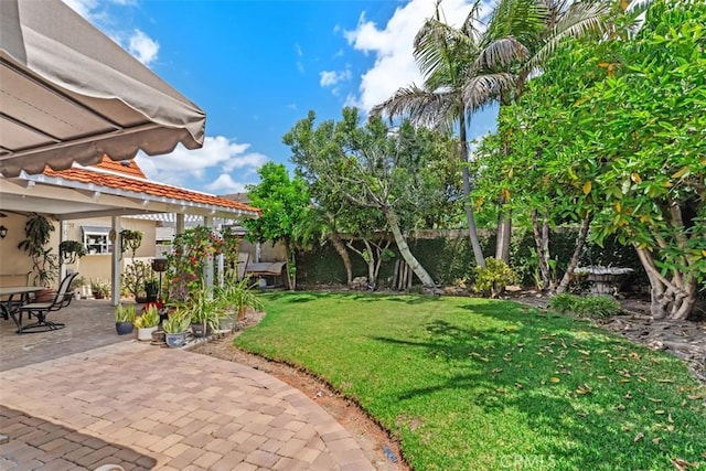 view of yard featuring a patio