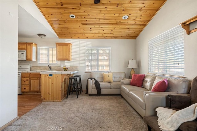 2136 3rd Ln, Big Bear City, CA 92314 - photo 4